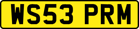 WS53PRM