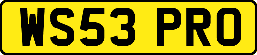 WS53PRO