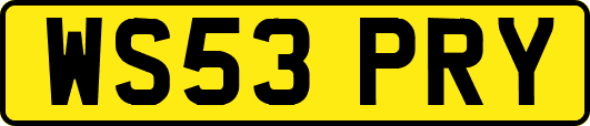 WS53PRY