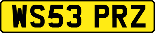 WS53PRZ