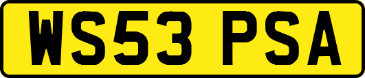 WS53PSA