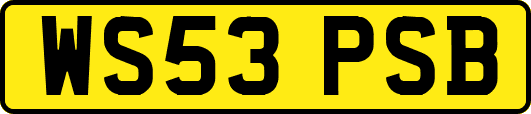 WS53PSB