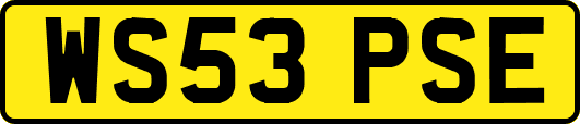 WS53PSE