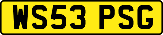 WS53PSG