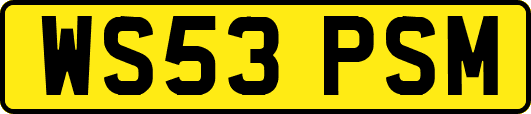 WS53PSM