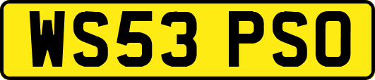 WS53PSO