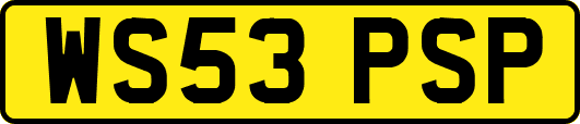 WS53PSP