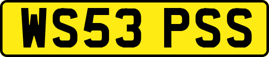 WS53PSS