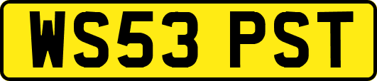 WS53PST