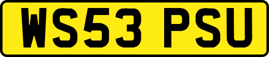 WS53PSU