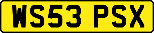 WS53PSX