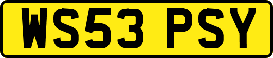 WS53PSY