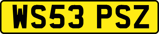 WS53PSZ