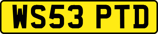 WS53PTD