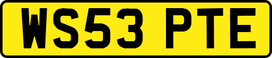 WS53PTE
