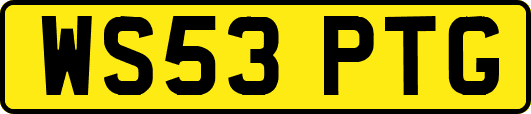 WS53PTG