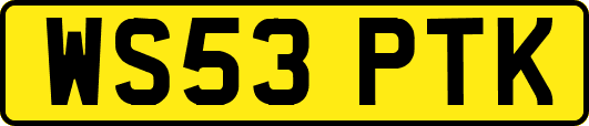 WS53PTK
