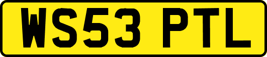 WS53PTL