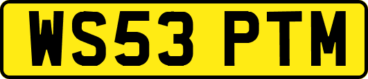 WS53PTM