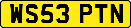 WS53PTN