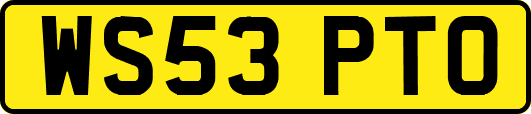 WS53PTO