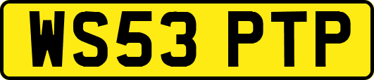 WS53PTP