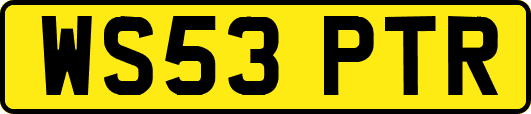 WS53PTR