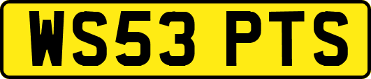 WS53PTS