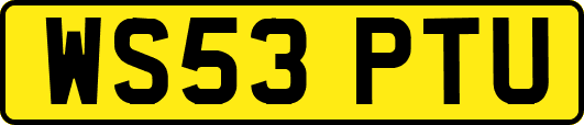 WS53PTU