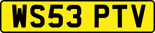 WS53PTV