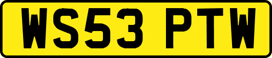 WS53PTW