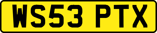WS53PTX