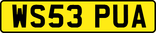 WS53PUA