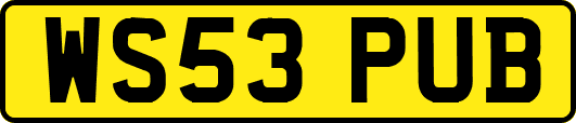 WS53PUB