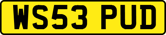 WS53PUD