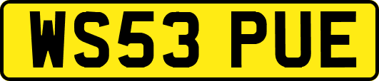 WS53PUE