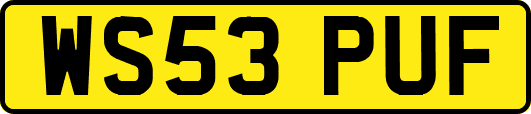 WS53PUF