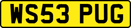 WS53PUG