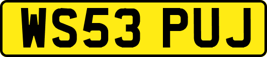 WS53PUJ