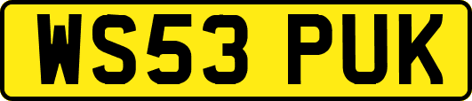 WS53PUK