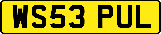 WS53PUL