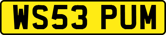 WS53PUM