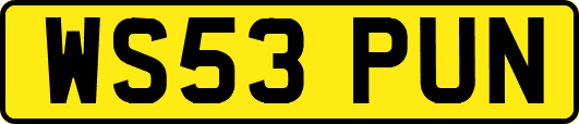 WS53PUN