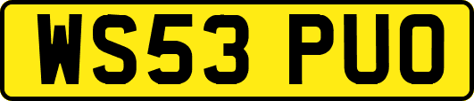 WS53PUO