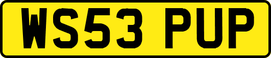 WS53PUP