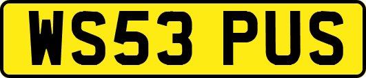 WS53PUS