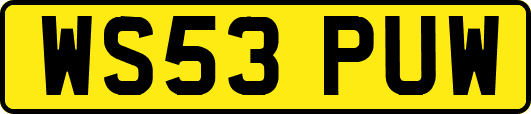 WS53PUW