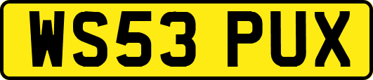 WS53PUX