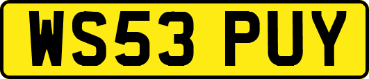 WS53PUY