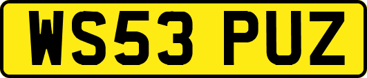 WS53PUZ